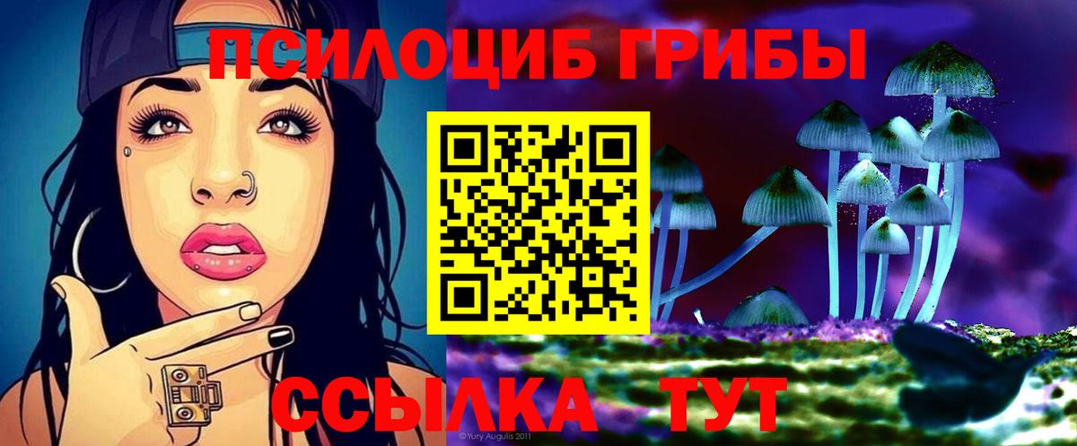 Галлюциногенные грибы прущие грибы  Вход с VPN  Карталы 