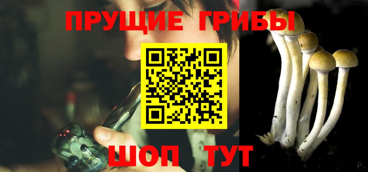 Псилоцибиновые грибы MAGIC MUSHROOMS Карталы